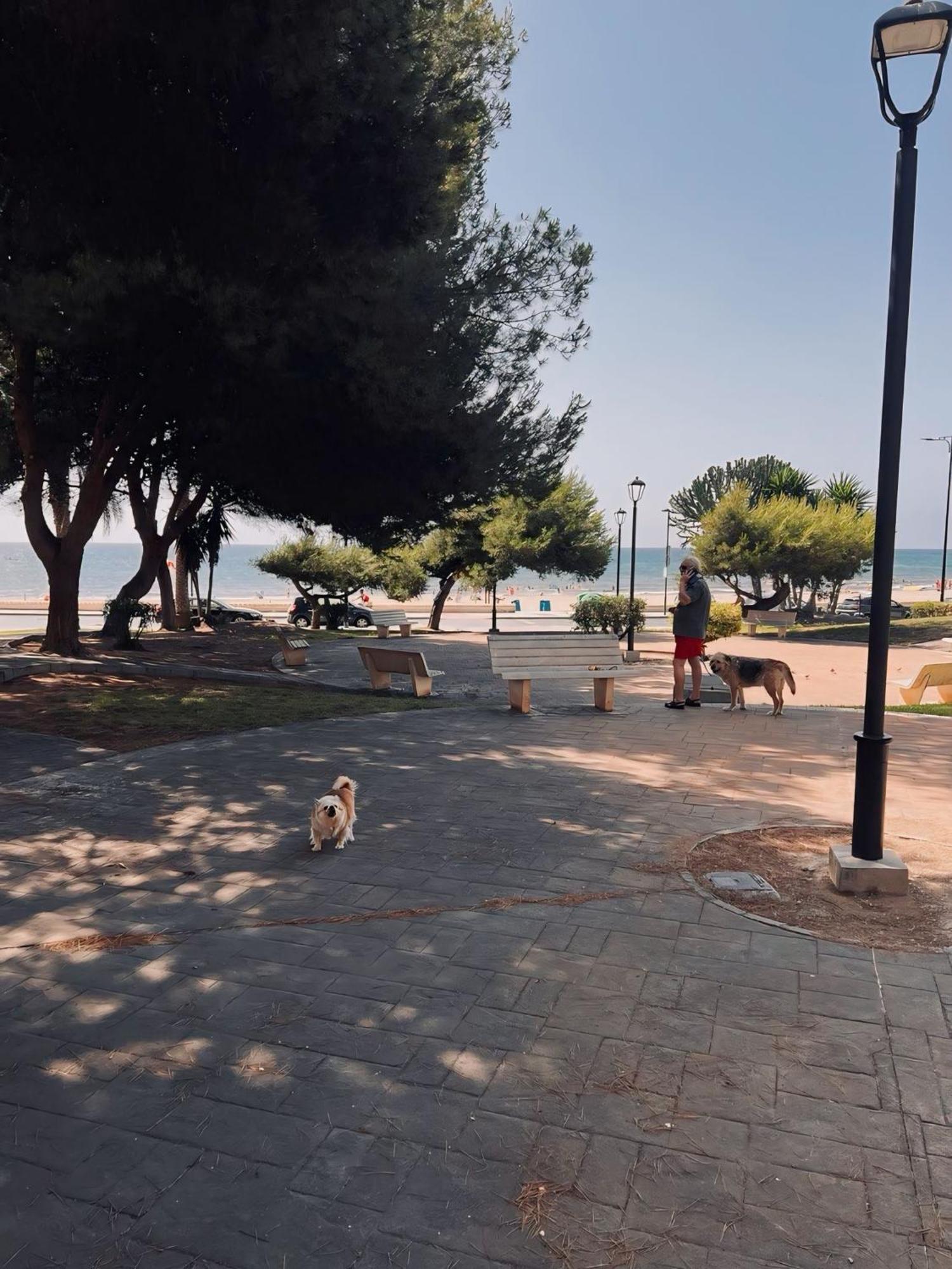 דירות אל קאמפיו 50 Pasos Hacia El Mar מראה חיצוני תמונה